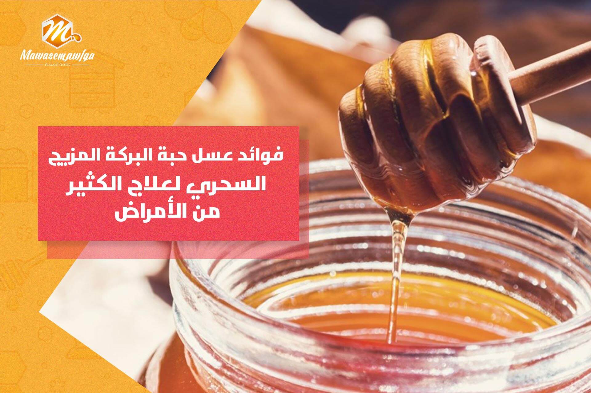 فوائد عسل حبة البركة المزيج السحري لعلاج الكثير من الأمراض | مواسم أصل العسل  الجبلي بمصر