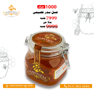 عسل العصيمي - الصورة 1