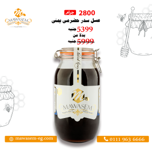 عرض الحضرمي الكبير - الصورة 1