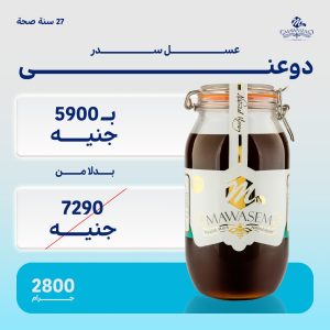 Doani Sidr Honey - Image 1