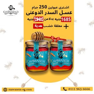 Daani Sidr Honey Offer - Image 1