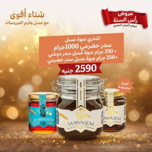 عرض الحضرمي