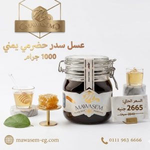 عرض الحضرمي - Image 1